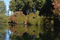 rötlicher Herbstzauber