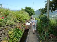 ..bunte Bepflanzung..