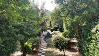 204 Rab, im Garten des Hotels Valamar Imperial