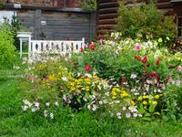 Irkutsk: Dekabristen-Museum: Garten