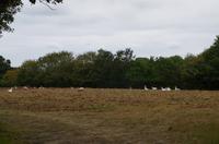 Wanderung entlang der Green Lanes im Landesinneren