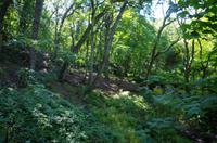 Wanderung von Giffard Bay nach Rozel