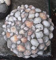 Hausdekoration Lajido, Pico