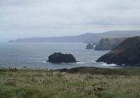 Wilde Küste Cornwalls bei Tintagel
