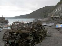 Im Hafen von Clovelly