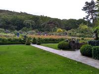 Glenveagh Garden