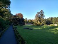 Coole Park - Co. Galway