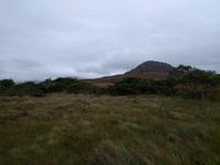 Connemara Nationalpark