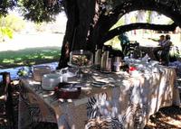 Mount Etjo Lodge - Kaffeeklatsch unterm Schattenbaum