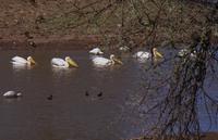 Okanjati Wildreservat - Pirschfahrt