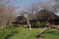 Hakusembe Lodge bei Rundu