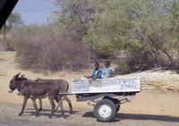 Unterwegs im Caprivi-Streifen - Kalahari-Ferrari