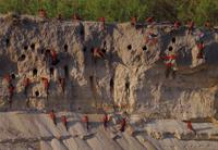 Bootsfahrt auf dem Kavango