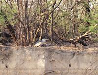 Bootsfahrt auf dem Kavango