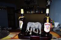 Divava Lodge - Abendessen