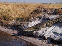 Bootsfahrt auf dem Kwando