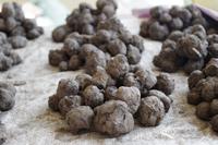 Unterwegs - Markt in Katimo Mulilo - Wasserlilien-Knospen