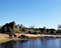 Bootsfahrt am den Chobe am Nachmittag