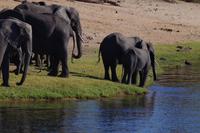 Bootsfahrt am den Chobe am Nachmittag