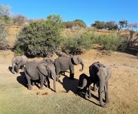 Bootsfahrt am den Chobe am Nachmittag