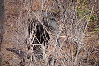 Unterwegs nach Simbabwe