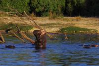 Bootsfahrt auf dem Zambezi
