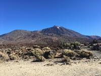 El Teide
