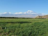 Chor Virap mit Ararat