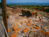  Urnenfeld an der Ausgrabungsstätte