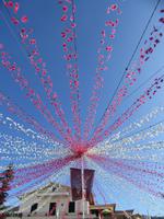 Bunte Vielfalt