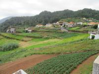 Landwirtschaft Madeiras