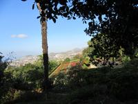 Botanischer Garten Funchal