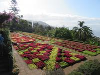 Botanischer Garten Funchal