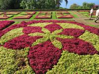 Botanischer Garten Funchal