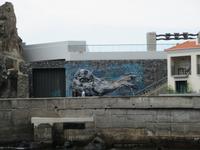Street Art in Camara de Lobos (Robbenbucht)