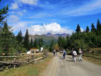 Wanderung, Heshkili Huts, Mestia