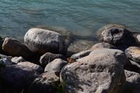 Von Banff nach Jasper - Ein Streifenhörnchen am Lake Louise
