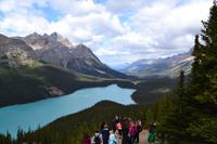 Von Banff nach Jasper - Peyto Lake