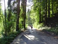 Radweg bei Lauf