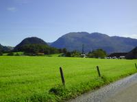 PICT0088
