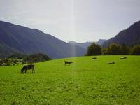 PICT0095