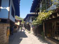 Tryavna