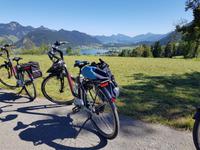 Blick auf den Walchsee