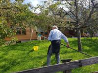Birnen vom netten Herrn