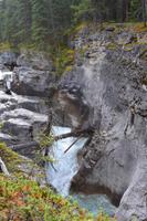 Erkundungen im Jasper-Nationalpark - Spaziergang durch den Maligne Canyon