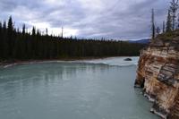 Erkundungen im Jasper-Nationalpark - Fotostopp an den Athabasca Falls