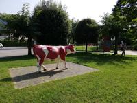 Caslano, im Schokoland Alprose