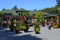 Besuch der Butchart Gardens