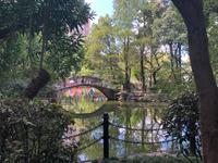 Shanghai 