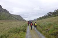 007-Glenveagh